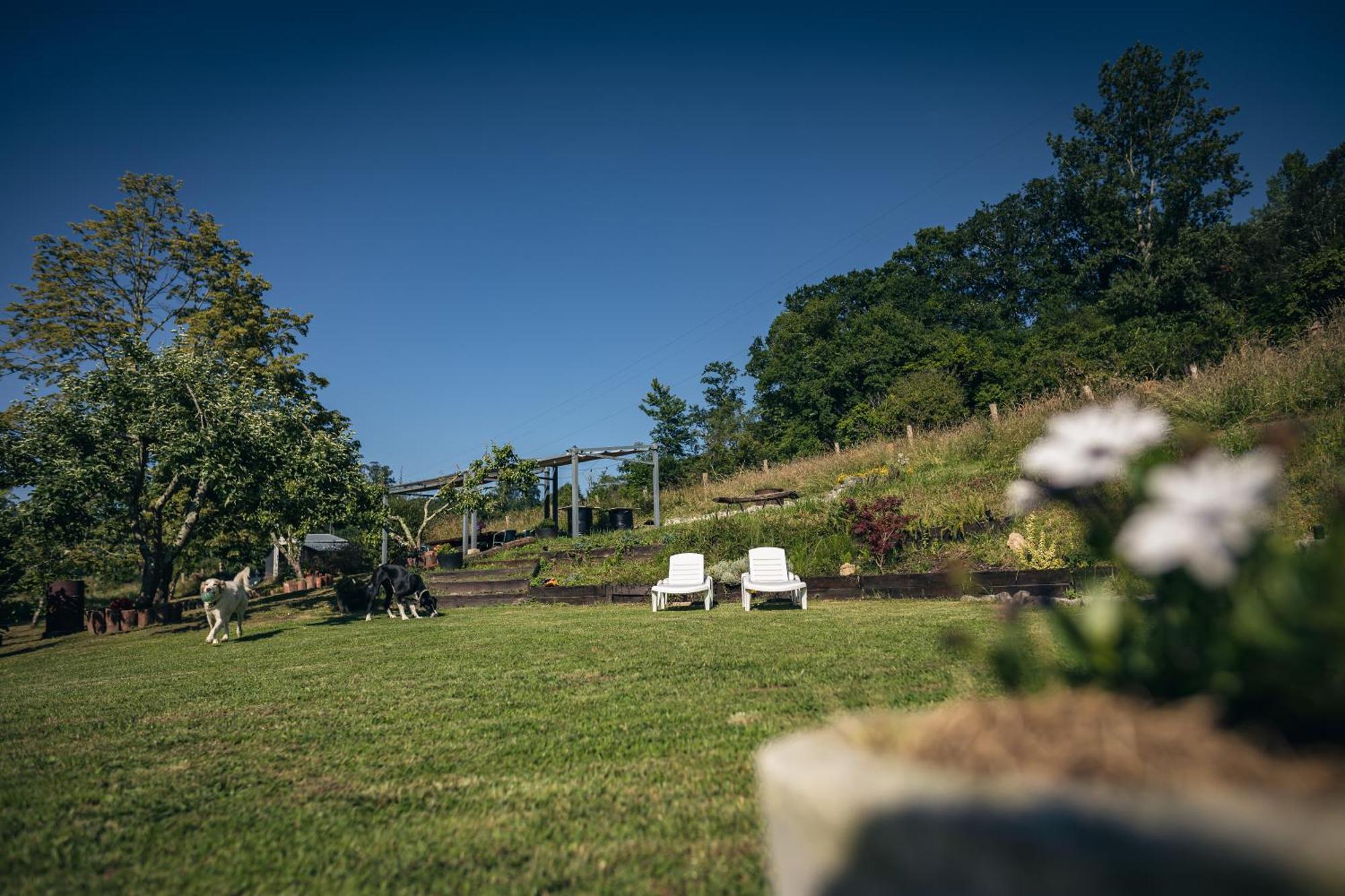 Holiday home La Naguada En Asturias