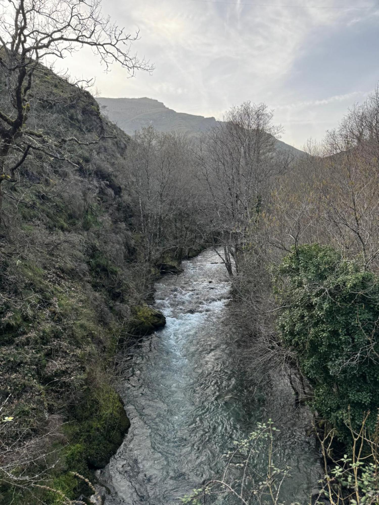 A Barreira -lar Da Cima- *