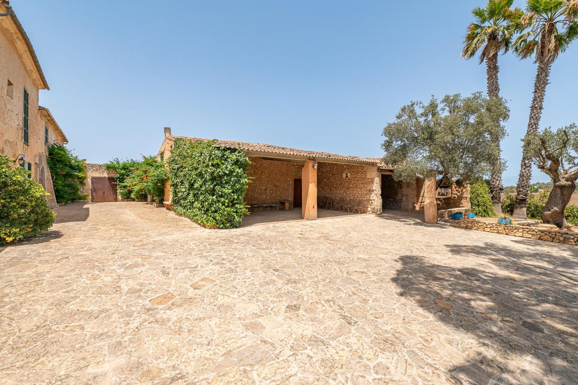 Son Suau Vell By Mallorca House Rent * Fenalitx (Fenalich)