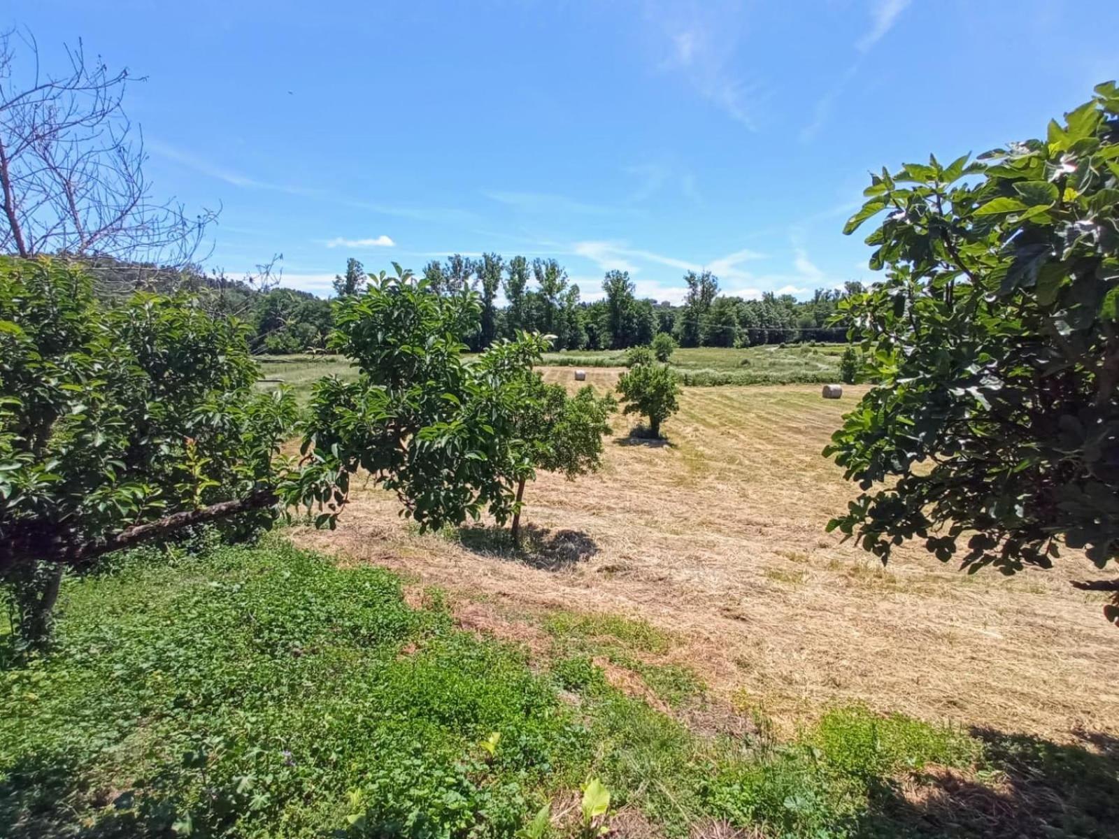 O Val De Vilaboa Holiday home Boveda (Lugo)