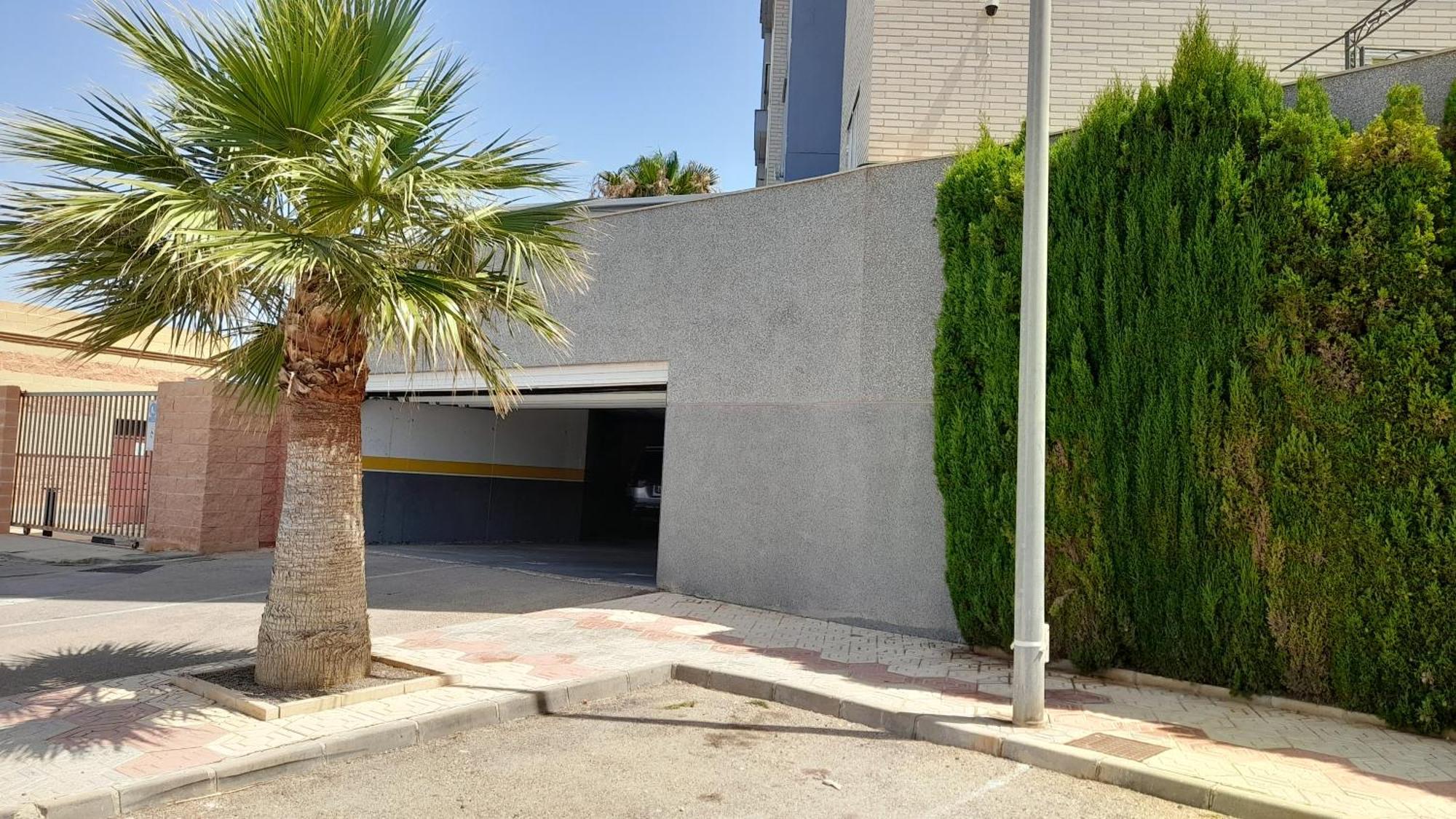 Mediterranean Paradise - & Gym Apartment *