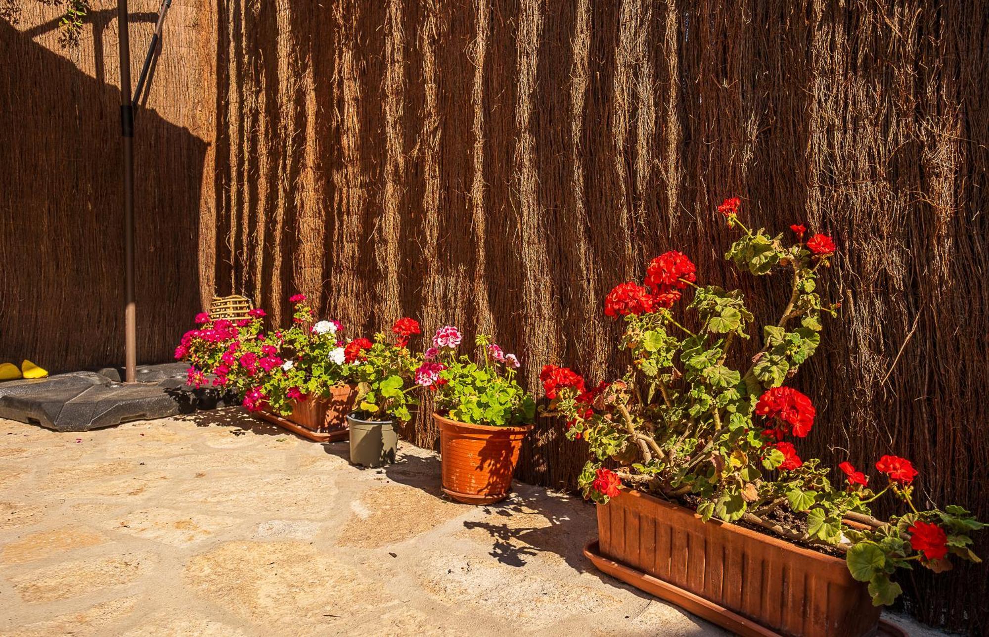 Apartment La Puerta Mataelpino