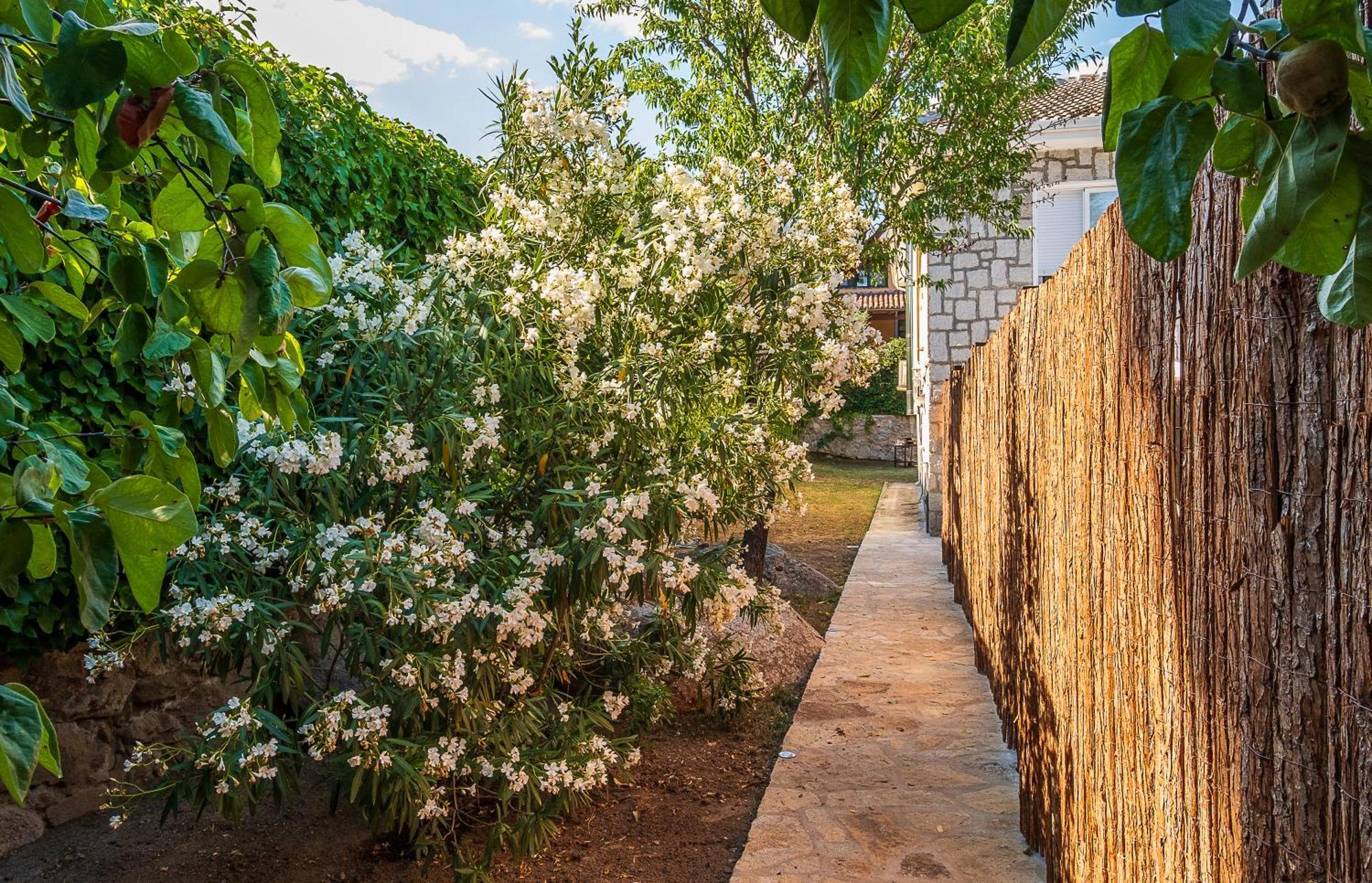 La Puerta Apartamento *