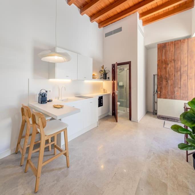 Apartamento Isg Puerta Jerez 02