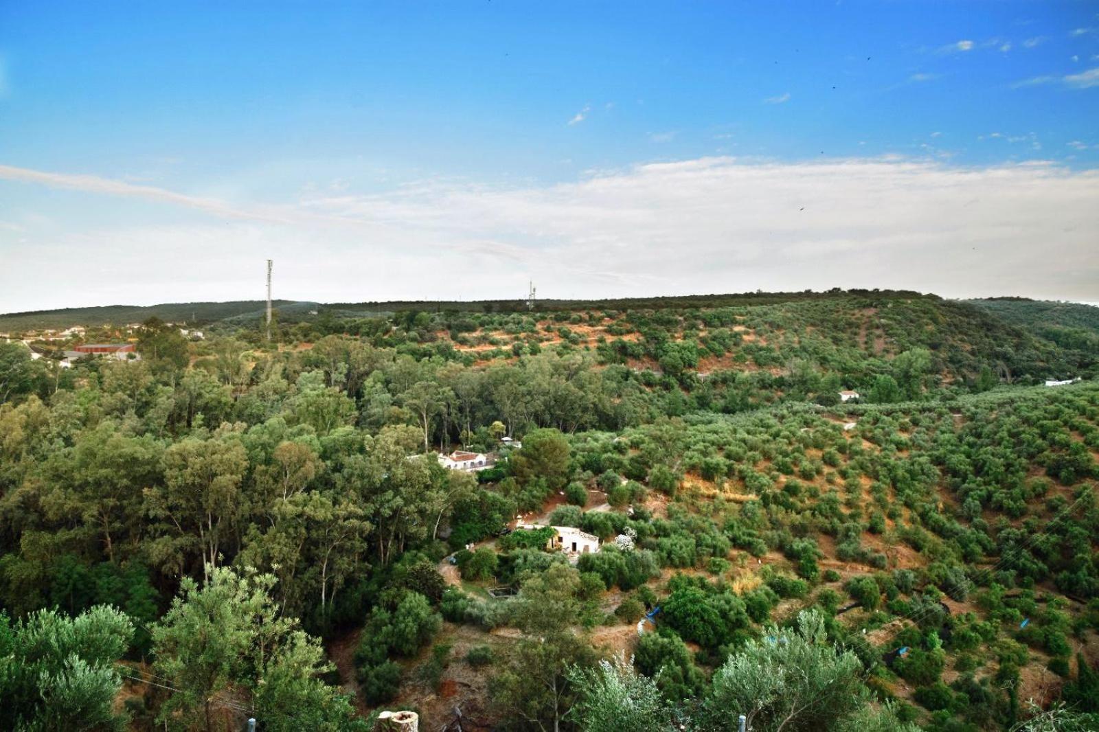 Mirasierra Holiday home *