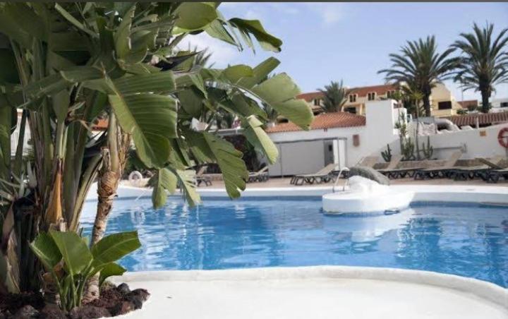 Paraiso Royal X Apartamento *
