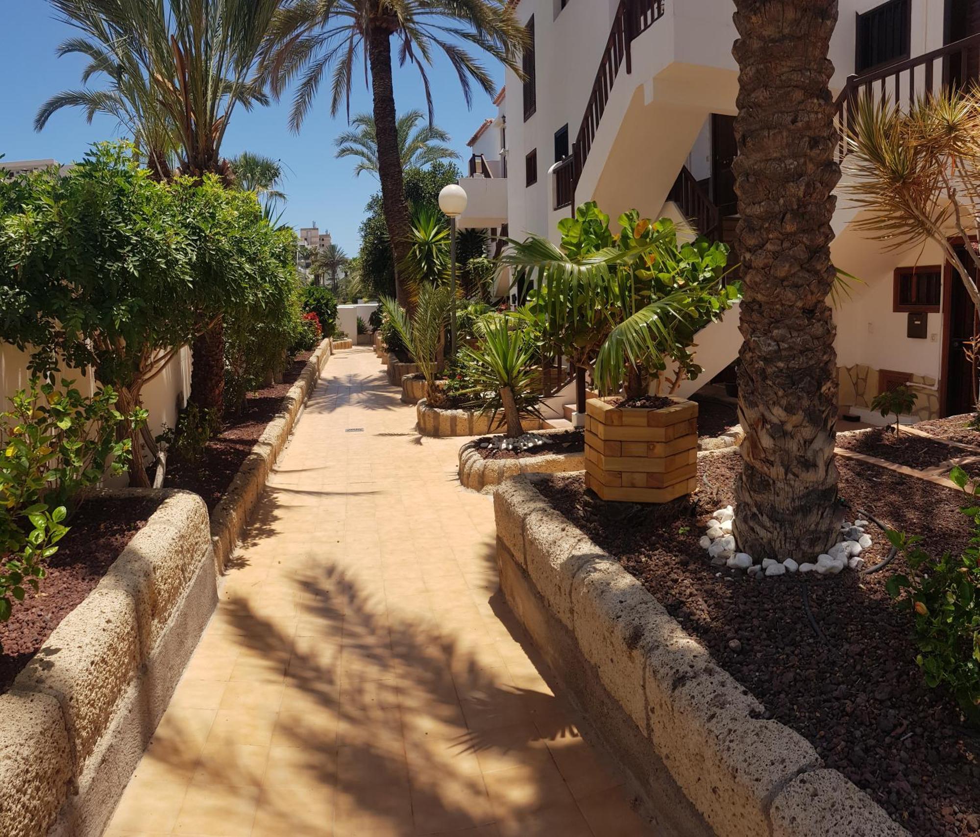 Paraiso Royal X Apartamento