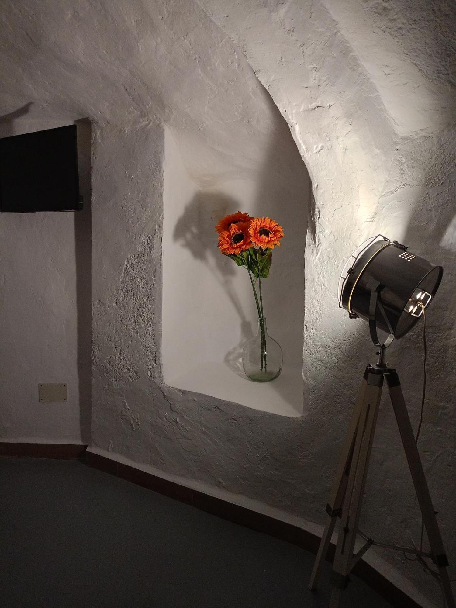 Encantadora Casa-cueva En Pleno Barrio Alfarero De *