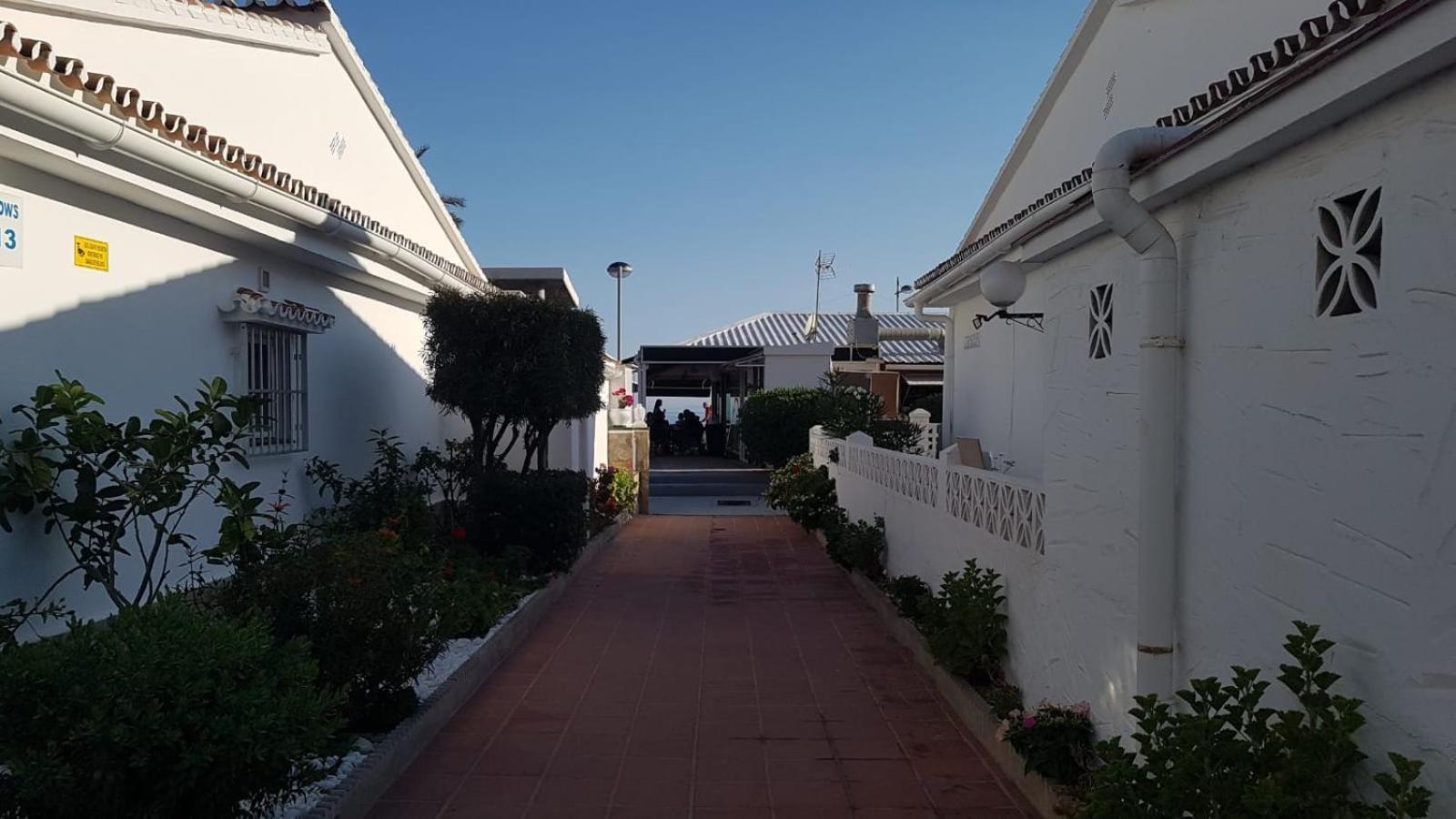 Calm Torrox