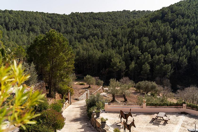 Masia De Matuta Vall d'Almonesir