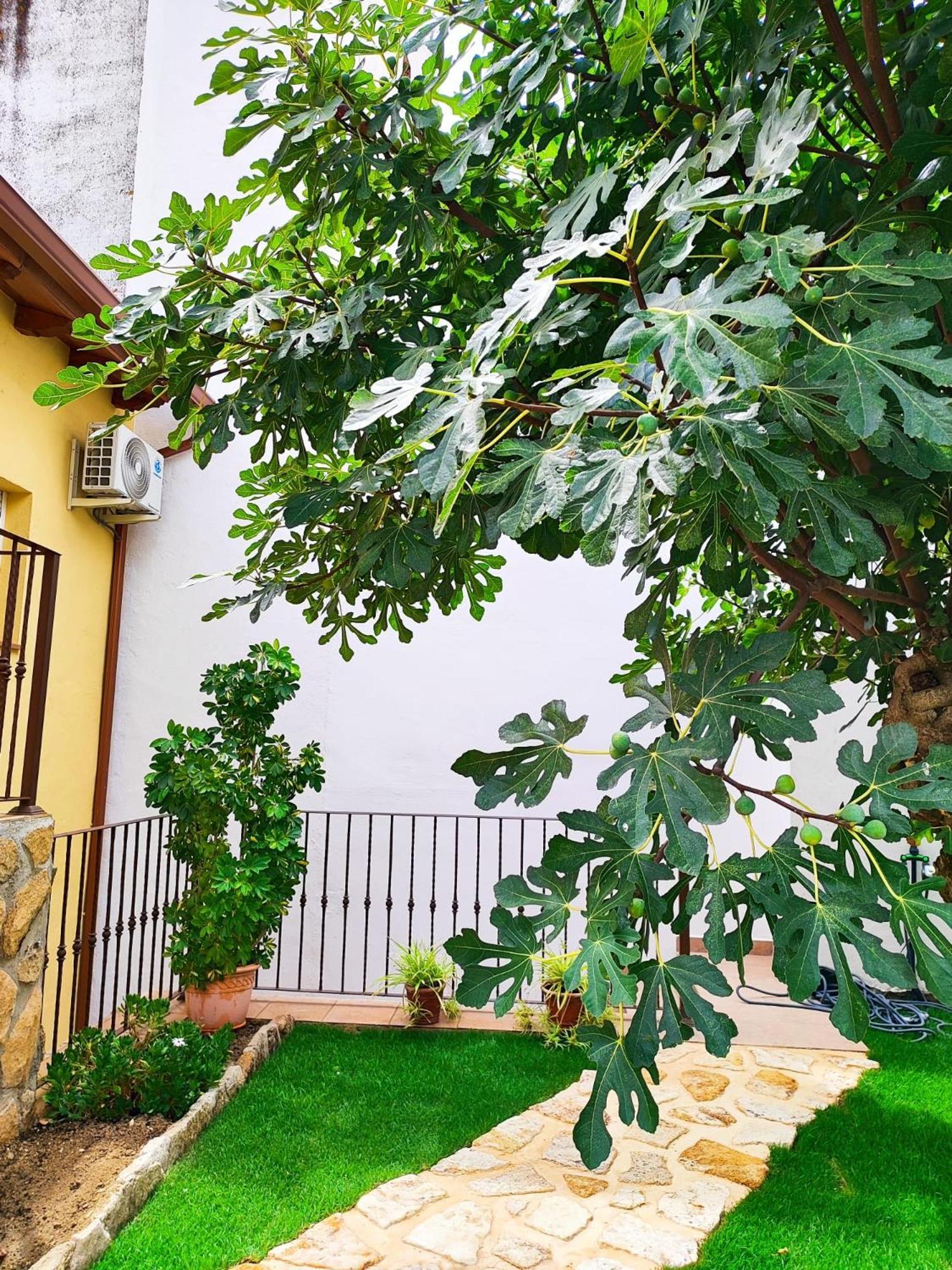 La Casita De Ra * Castillo de Bayuela