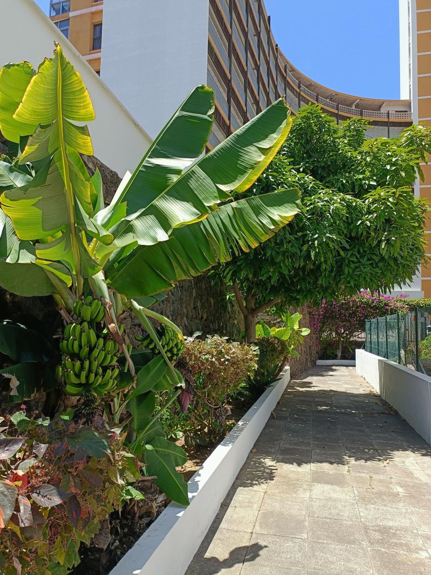 Apartamento Duplex Sol Y Mar *