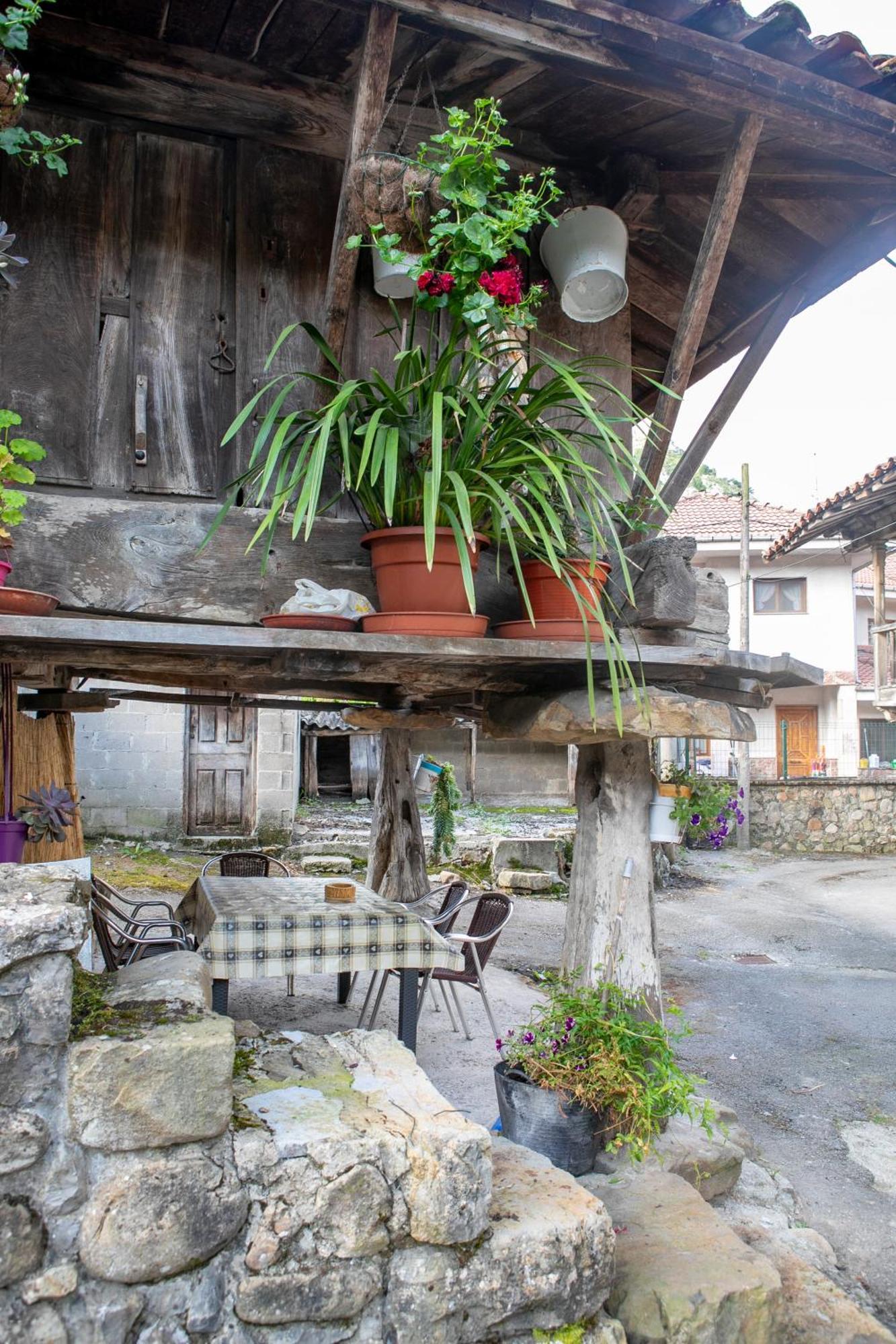 Casa Rural Salices Сasa de vacaciones