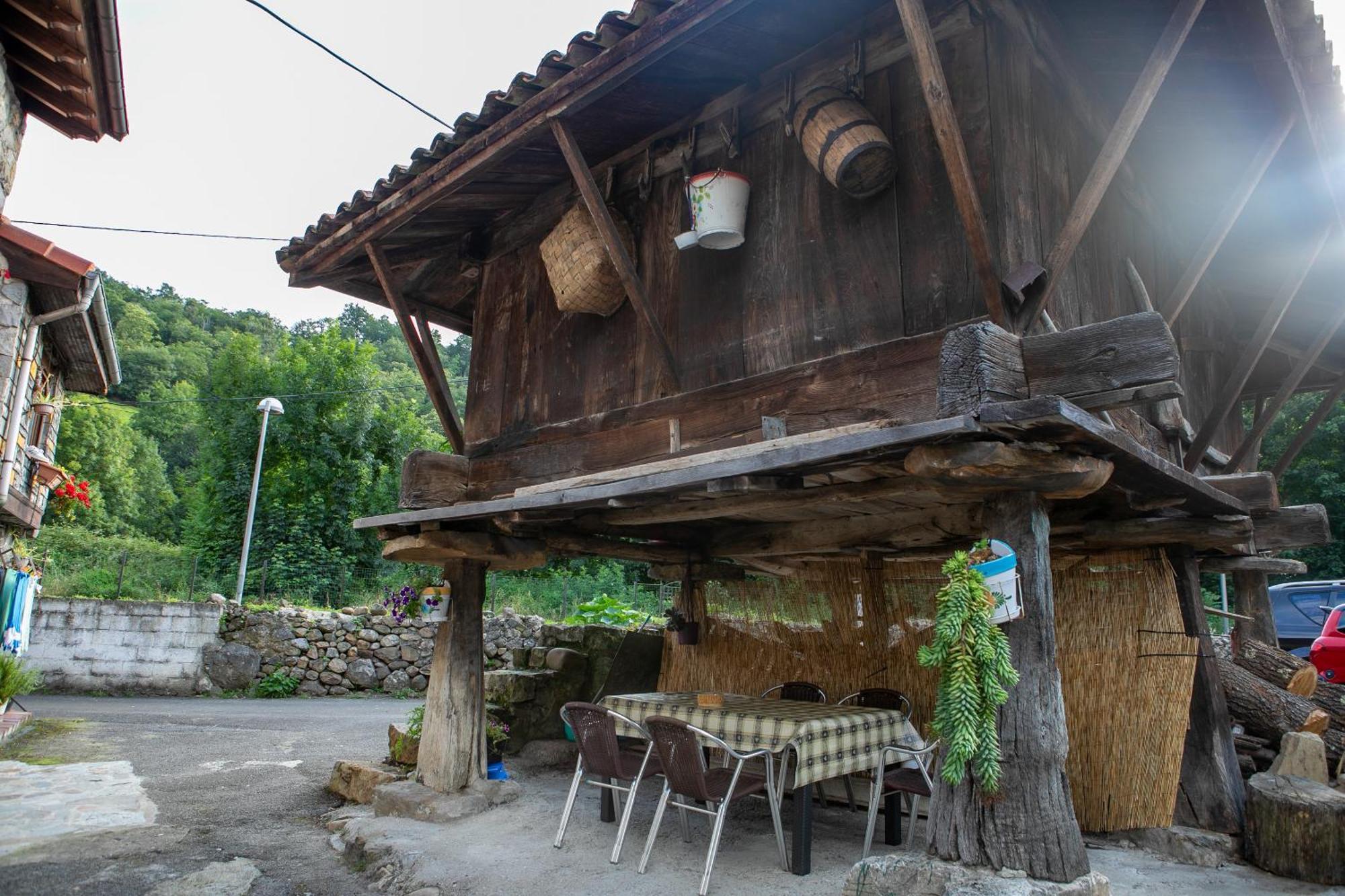 Casa Rural Salices