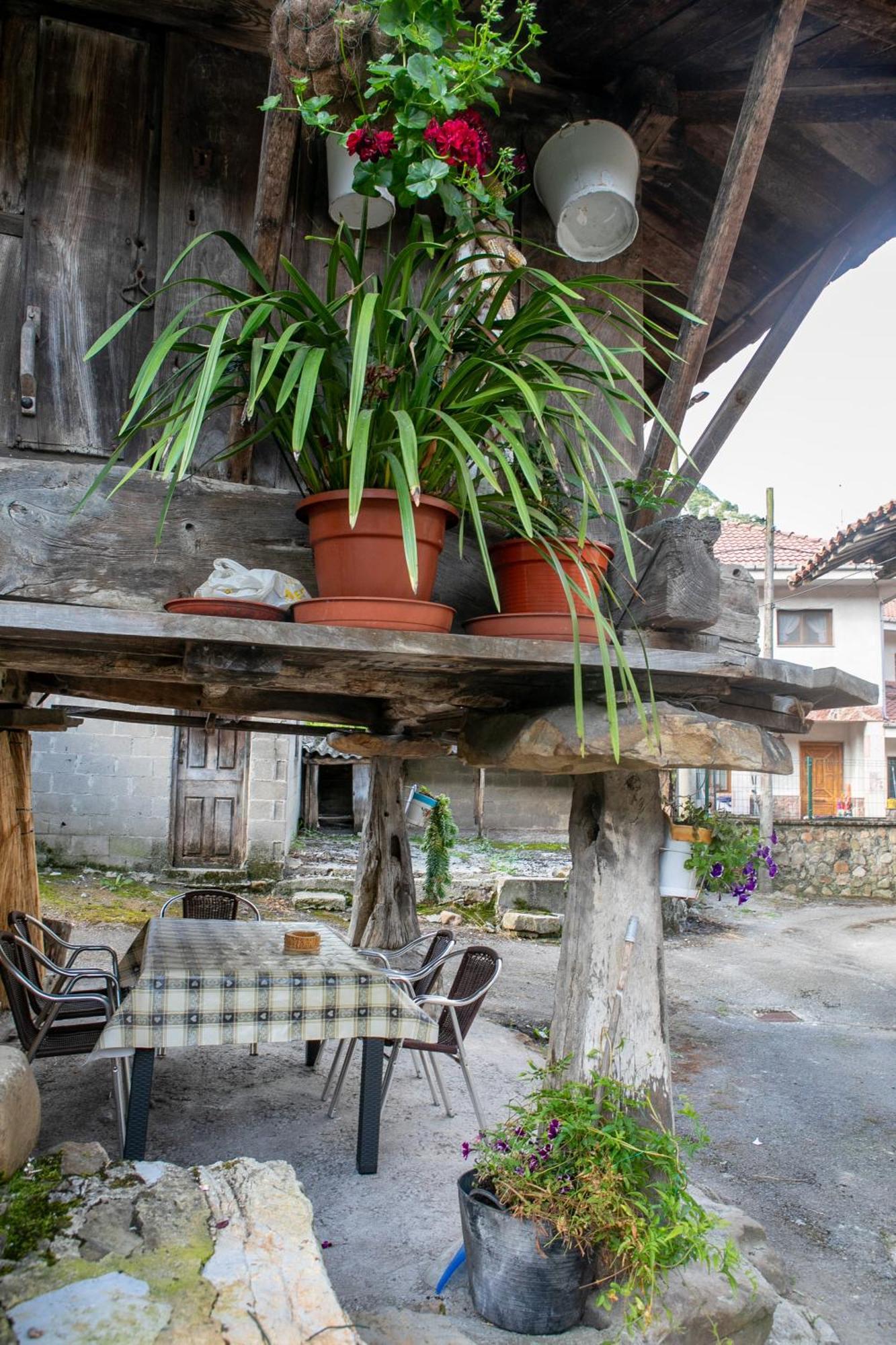 Casa Rural Salices * Pola de Laviana