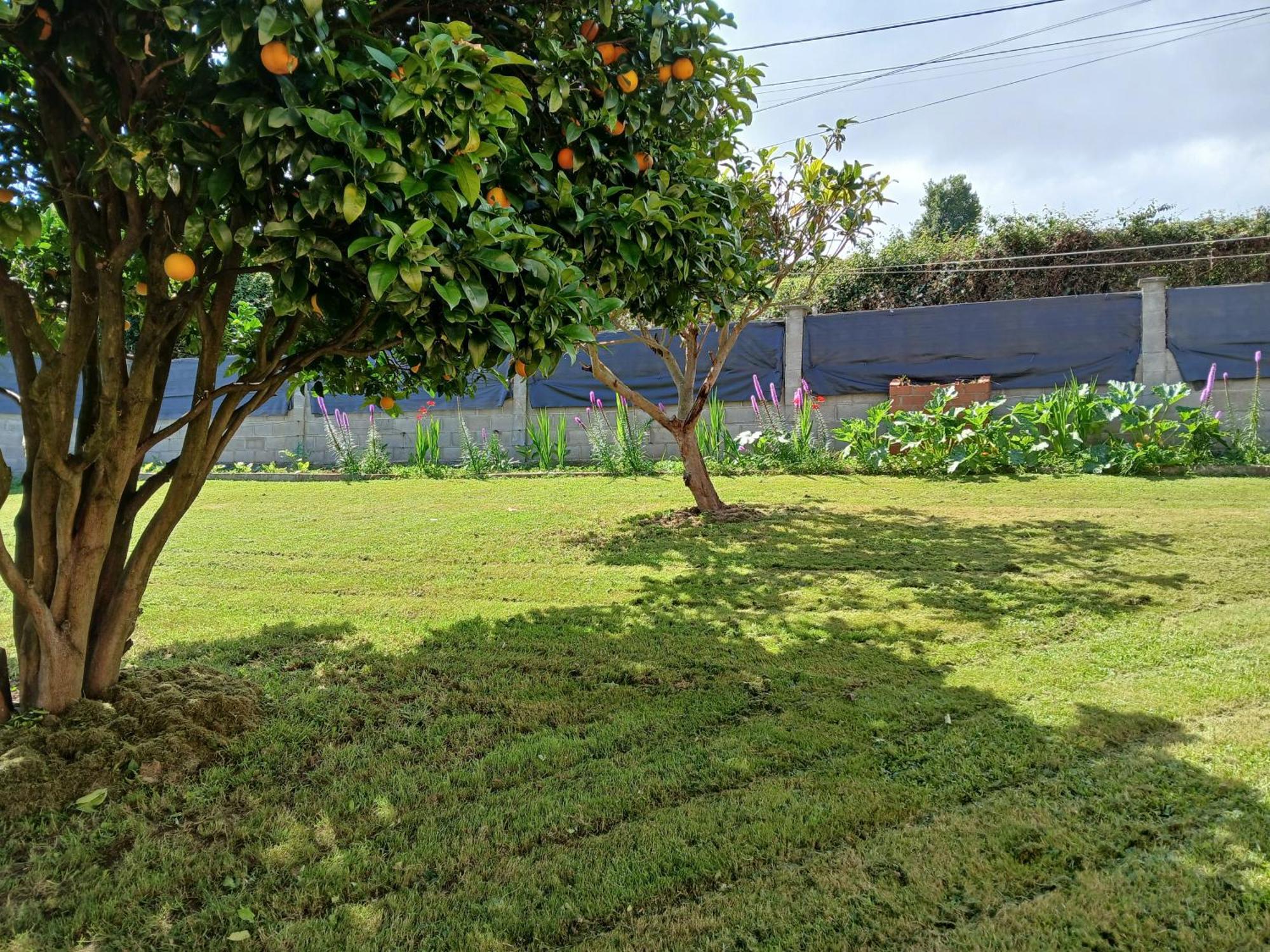 Casa Naranxales Сasa de vacaciones