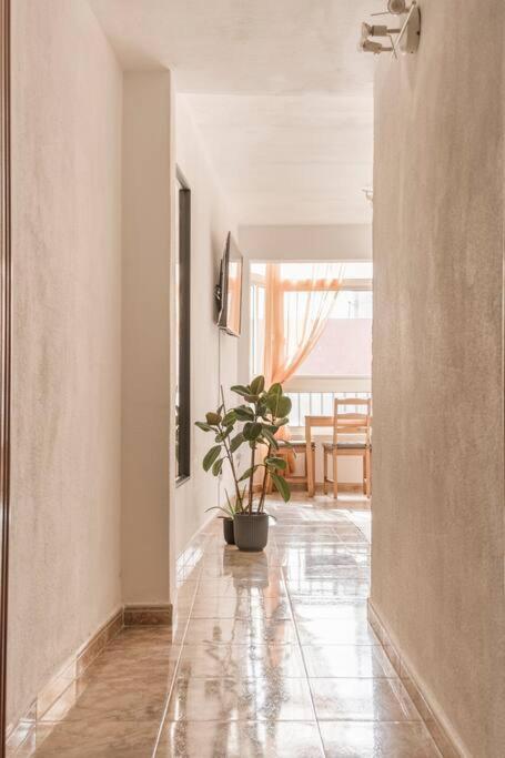 Preciosos Pisos En El Centro De Apartamento