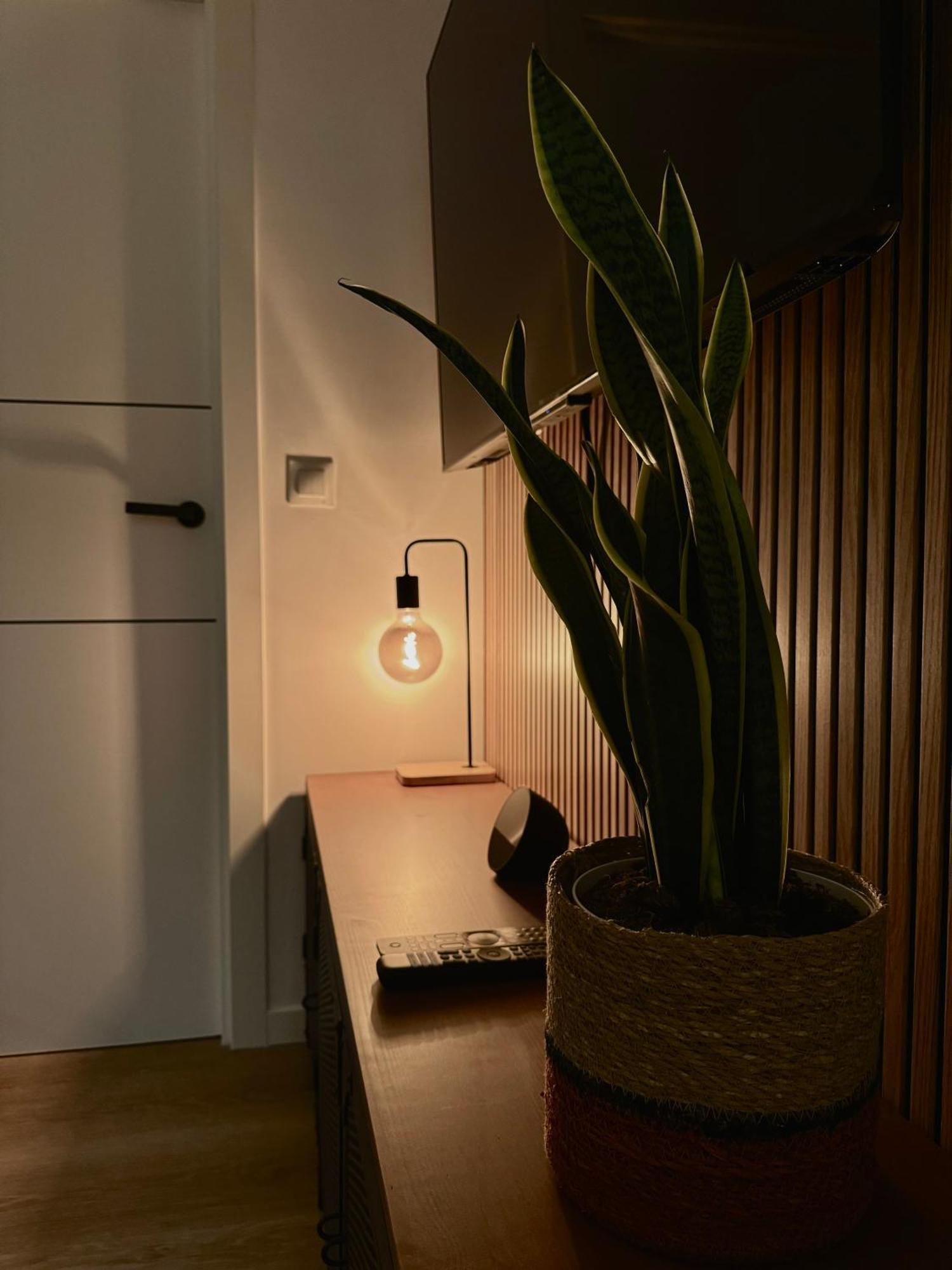 Apartment Kilometro 22 Luxury