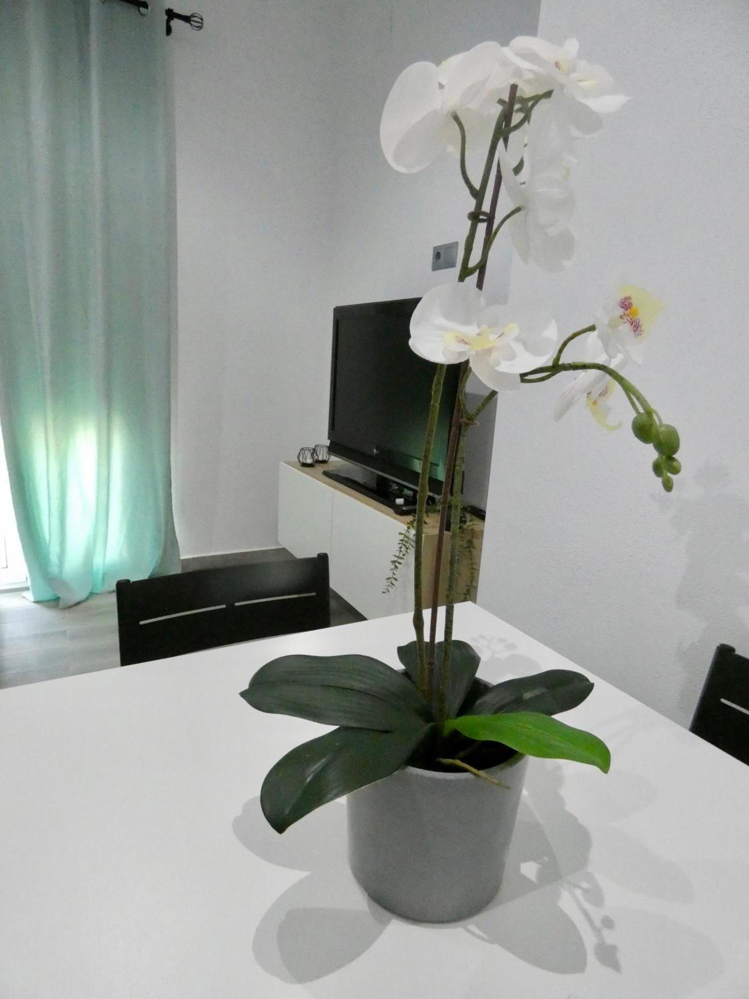 Apartamento Casa Monturrio