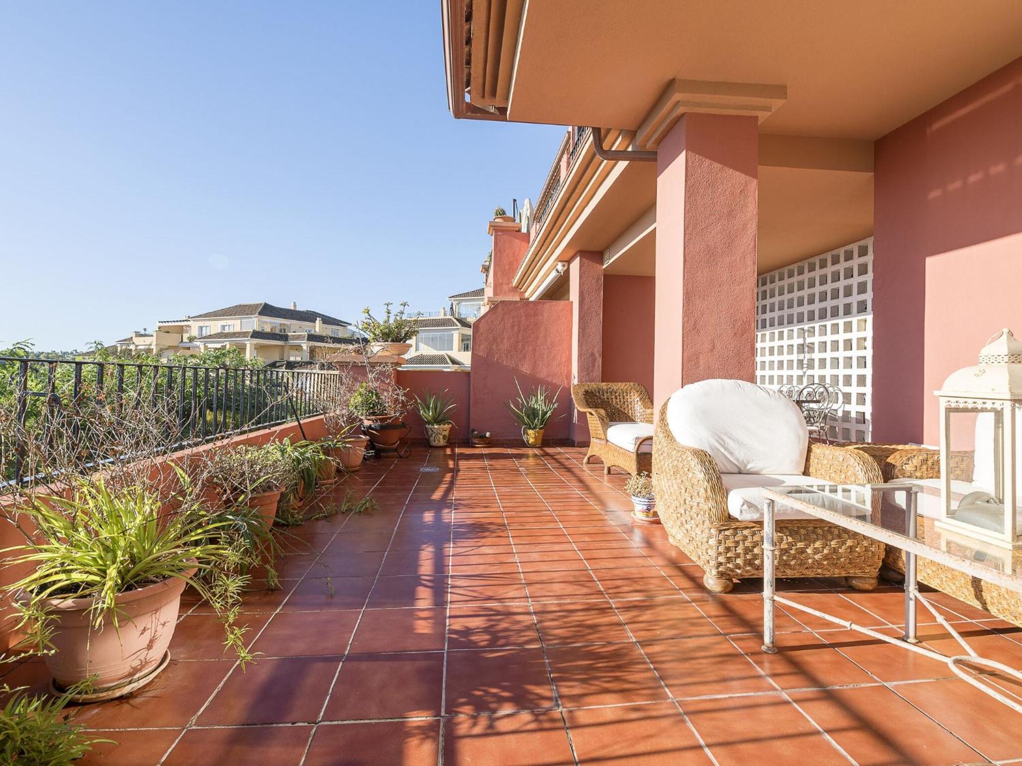 Spikes - In Sotogrande Free Wifi *
