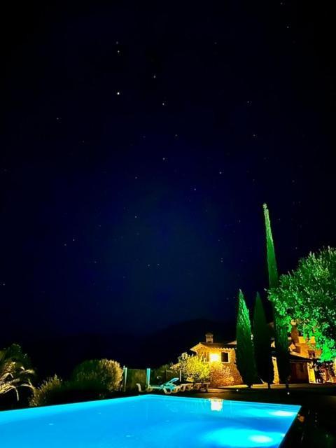 Homs *