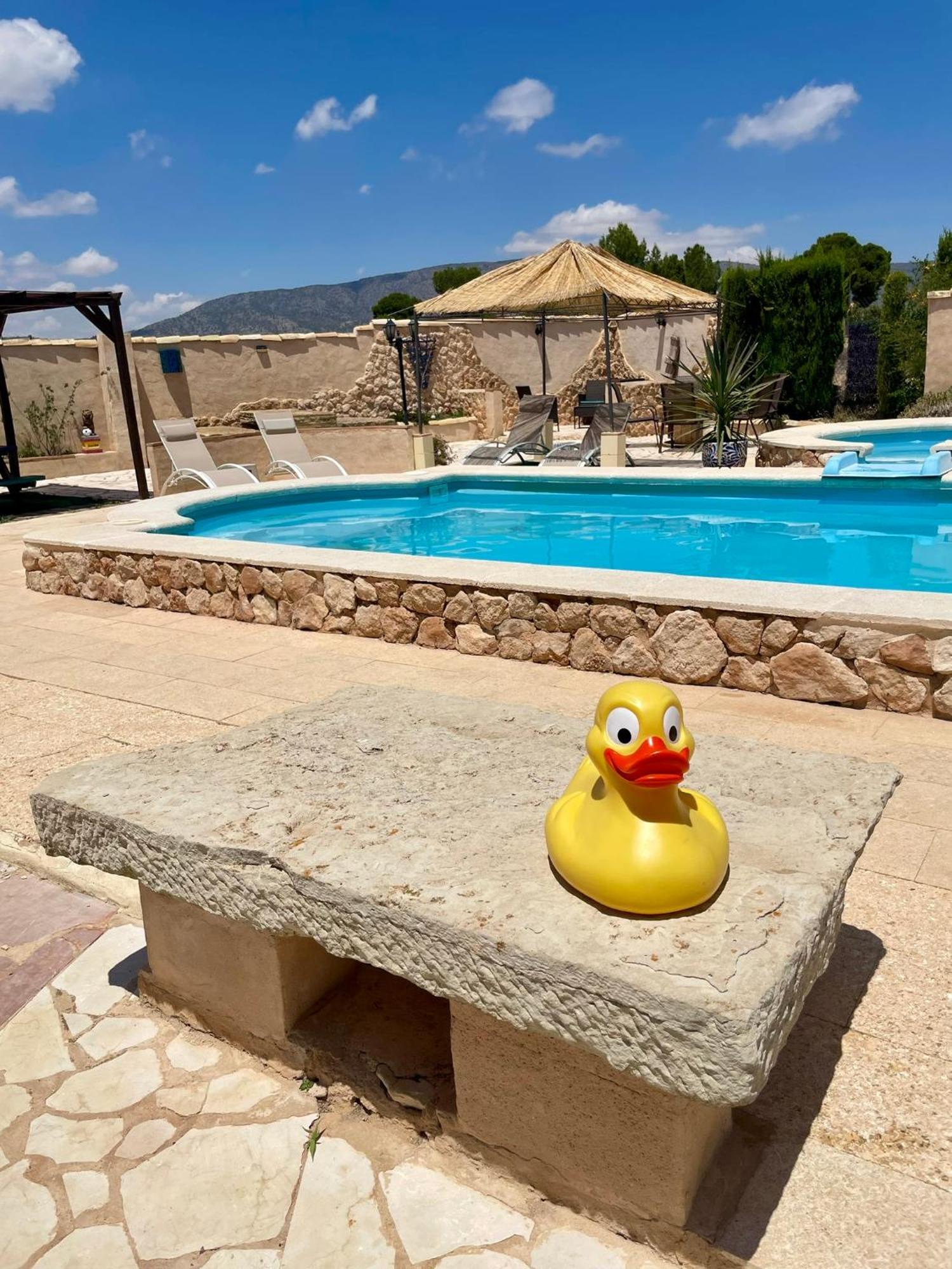 Guest house Ubeda - - Pinoso-alicante *