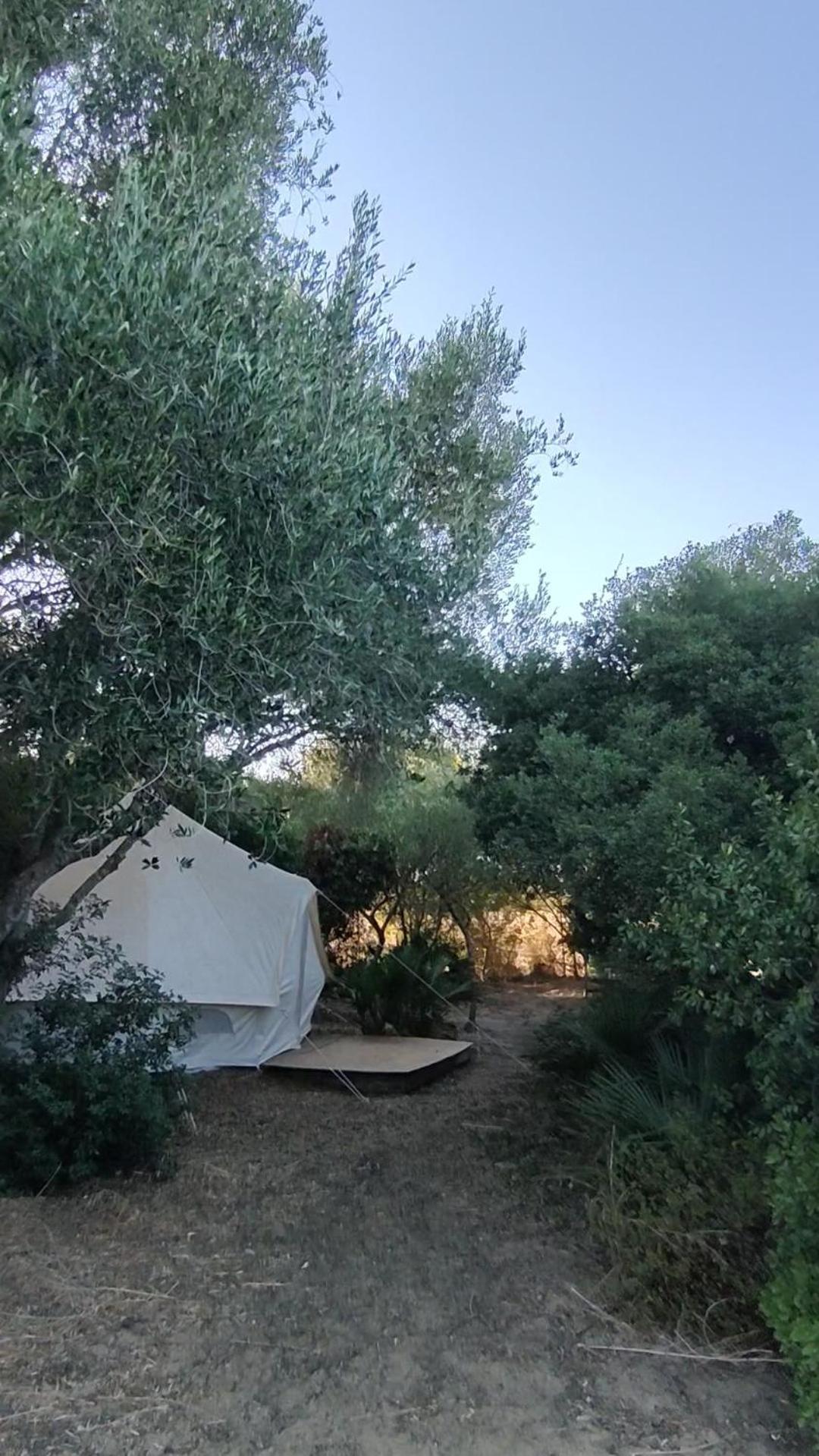 Campsite Tulpa Cadiz