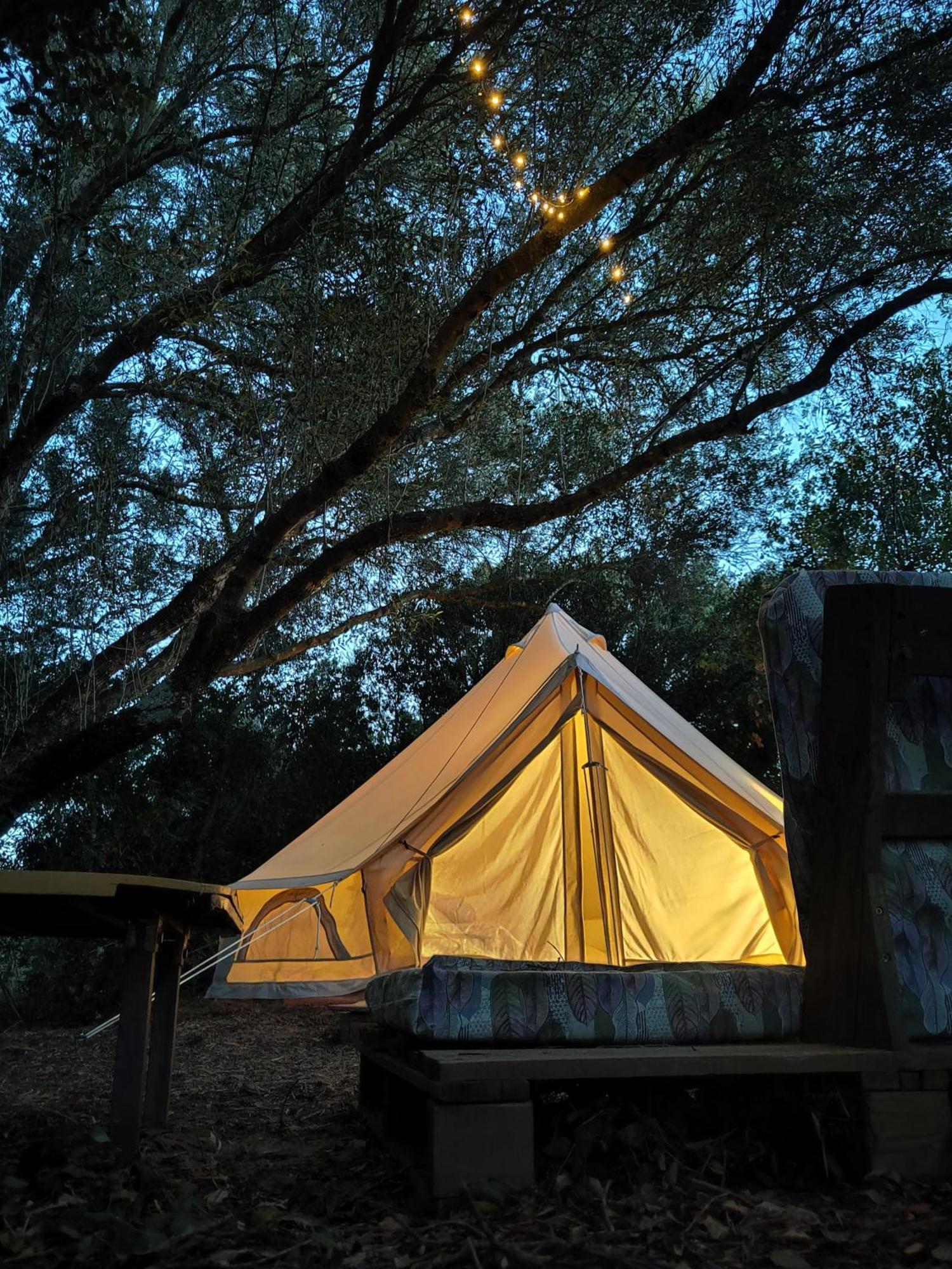 Tulpa Cadiz Campsite *