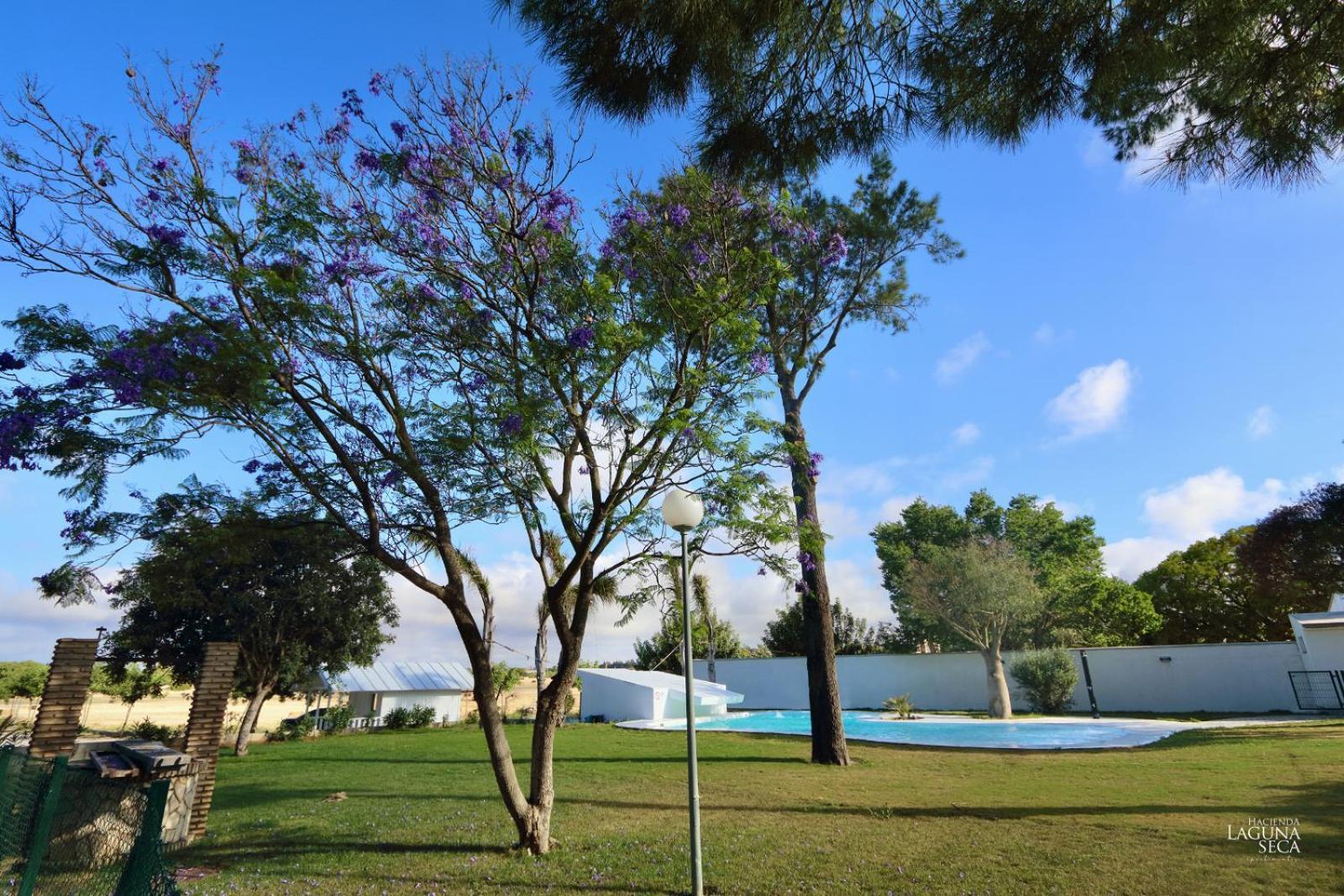 Hacienda Laguna Seca - Apart. Jazmin Apartamento Chiclana de la Frontera