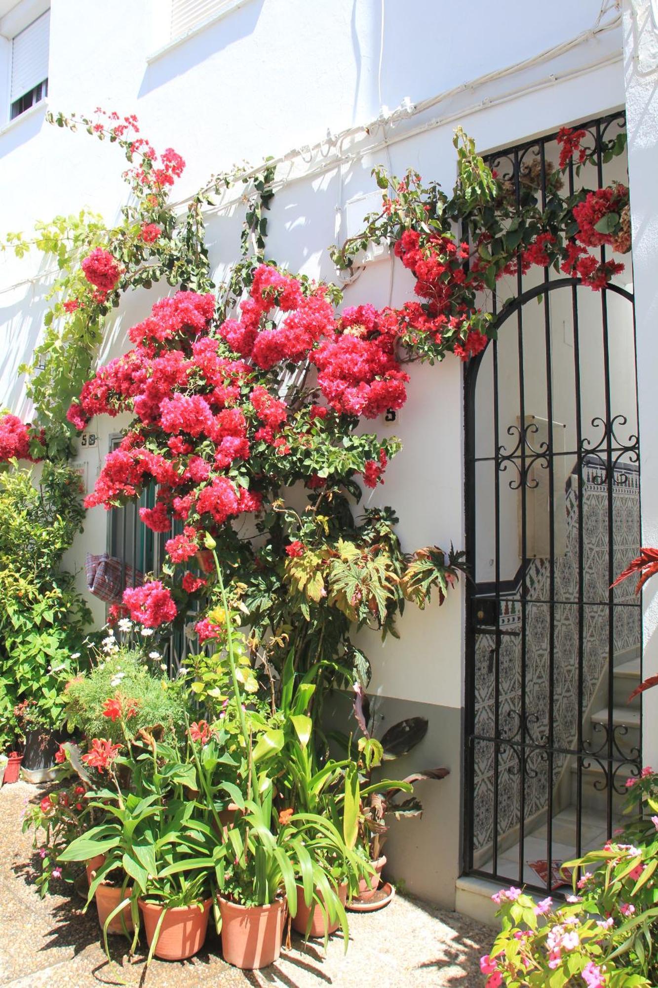 Holiday home Casa Magallanes Conil