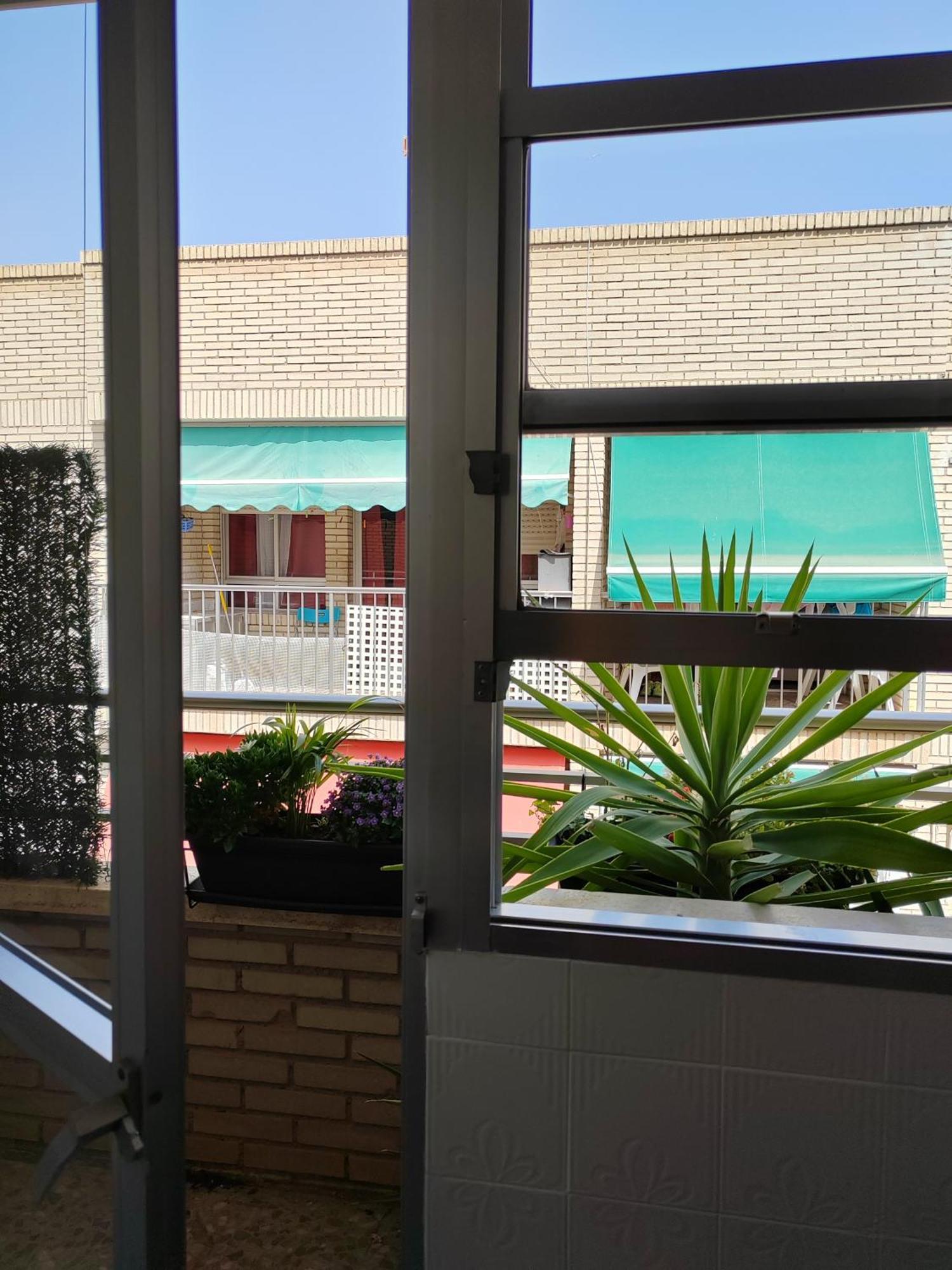 Apartmento Tricolor Apartment