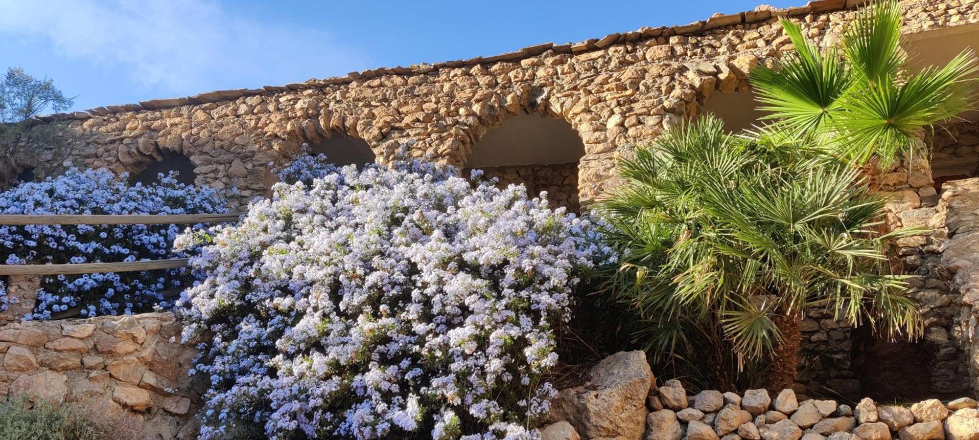 Off Grid - Puerto Mika - Casa Lola Holiday home Torviscon