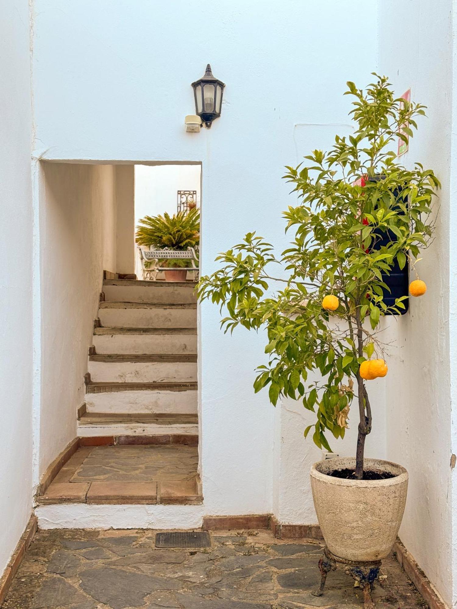 Cortijo Piletas Hotel
