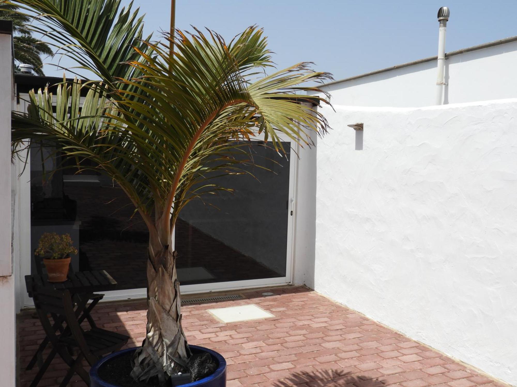 Palmeras Apartamento