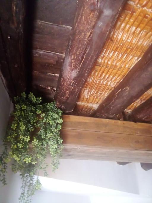 Holiday home Casa Vidosa *
