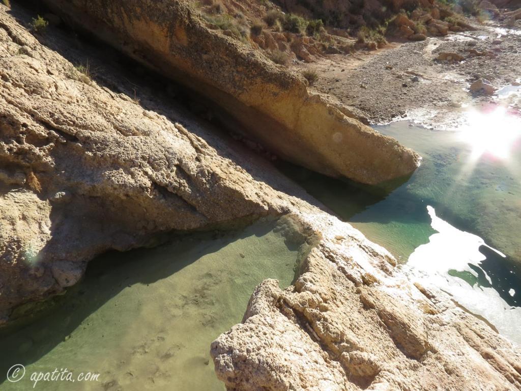 Paraje Natural, 6 Habitaciones, Piscina, 1800m2, Cesped * La Murada