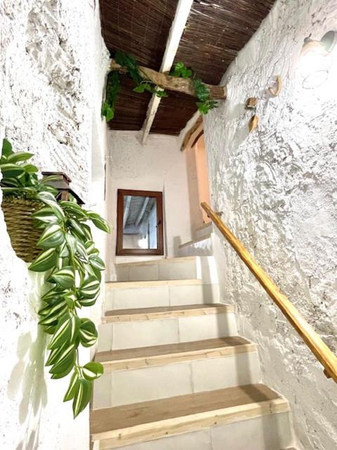 Paraje Natural, 6 Habitaciones, Piscina, 1800m2, Cesped * La Murada