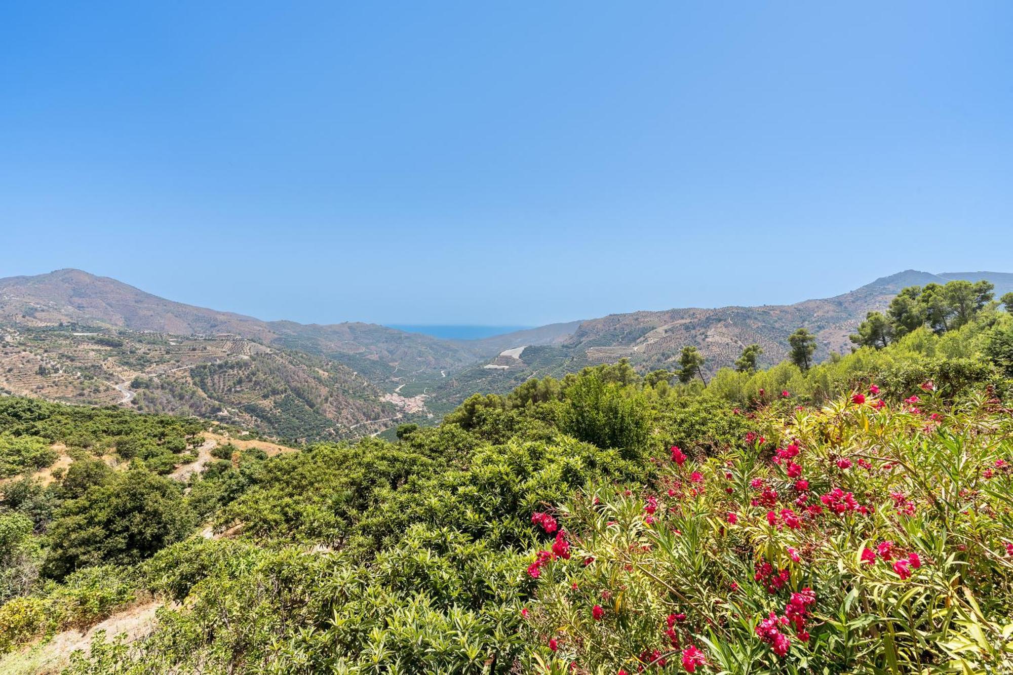 Cortijo La Alberquilla Сasa de vacaciones