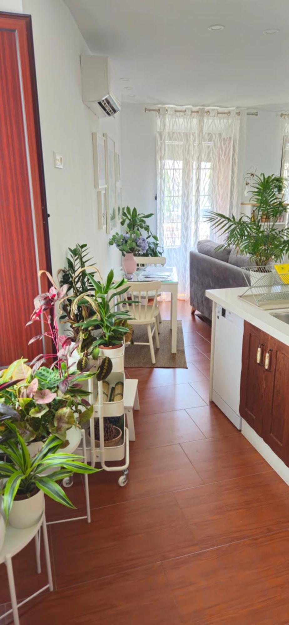 Apartamento Descalzos ángel Ronda