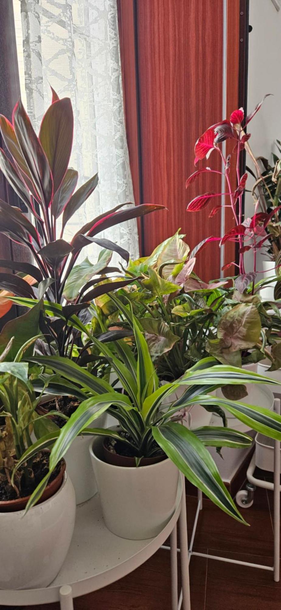 Descalzos ángel Apartamento Ronda