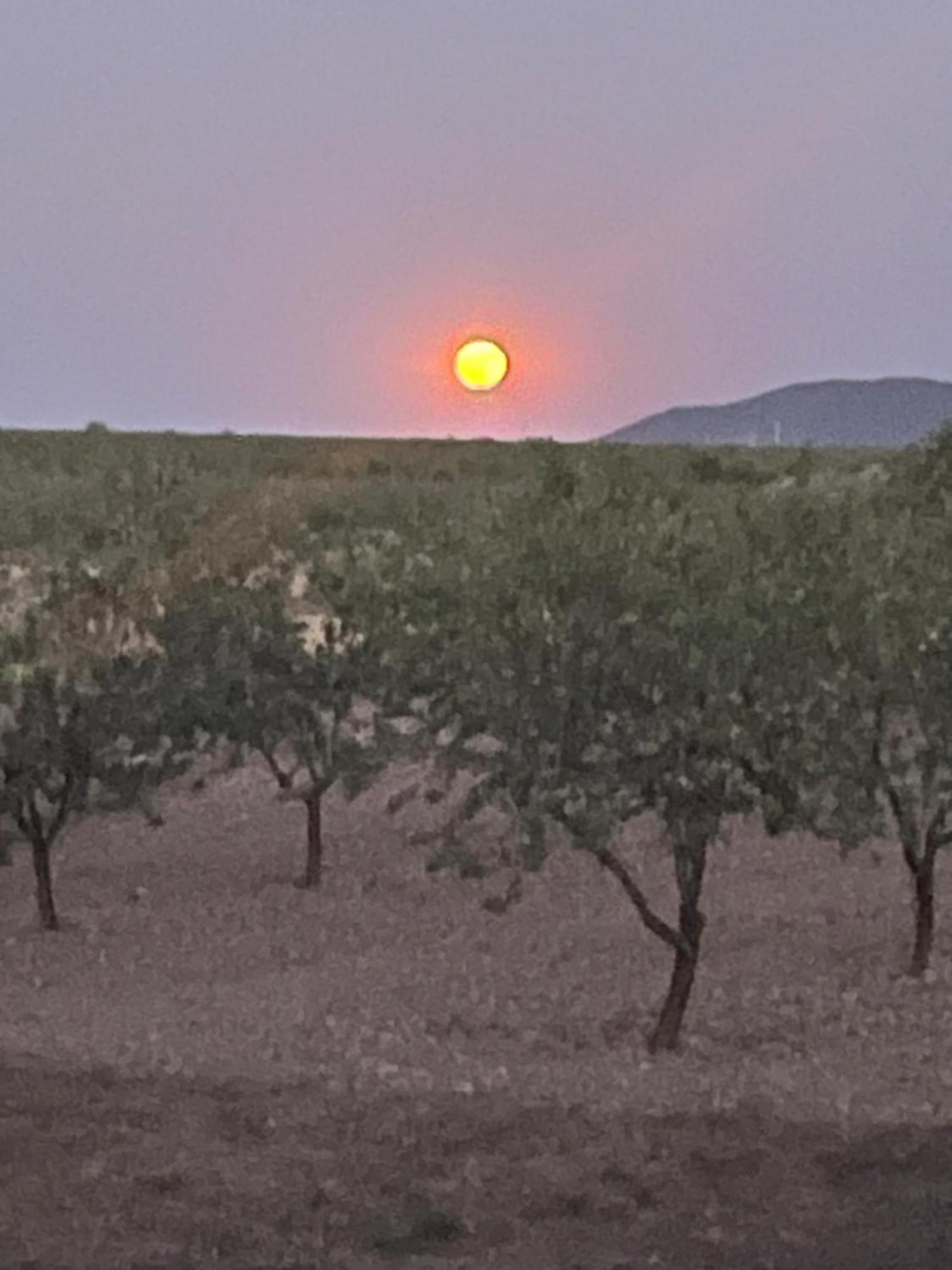 Cortijo Calma - Countryside Peace & Tranquility Apartamento *