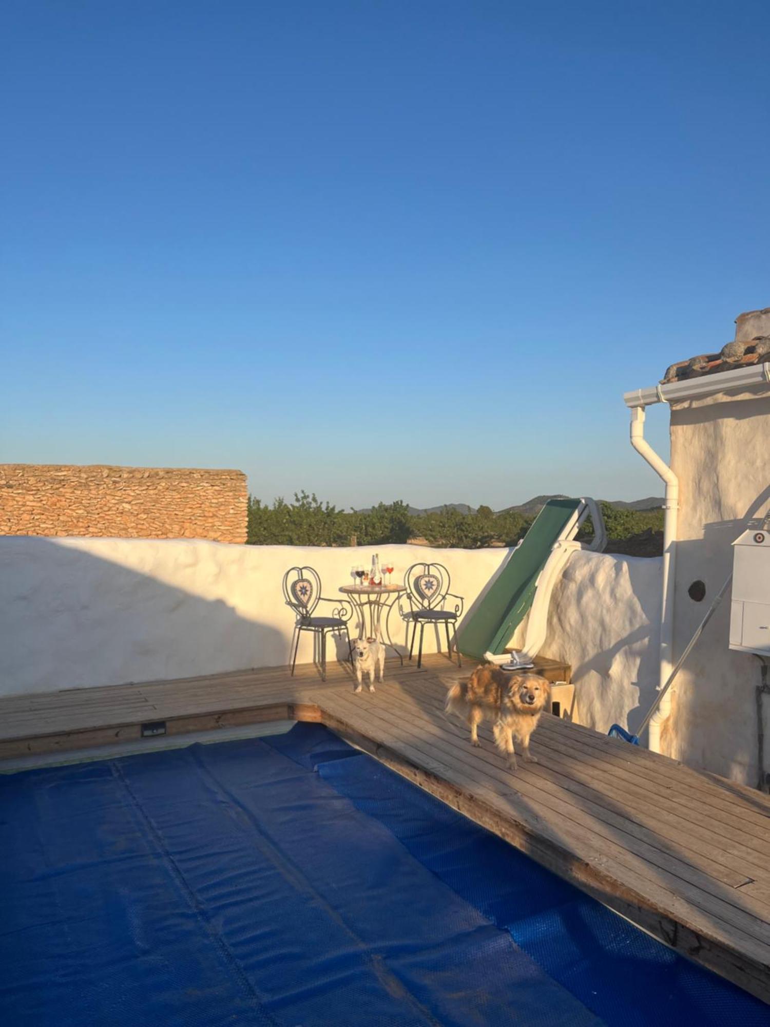 Cortijo Calma - Countryside Peace & Tranquility *