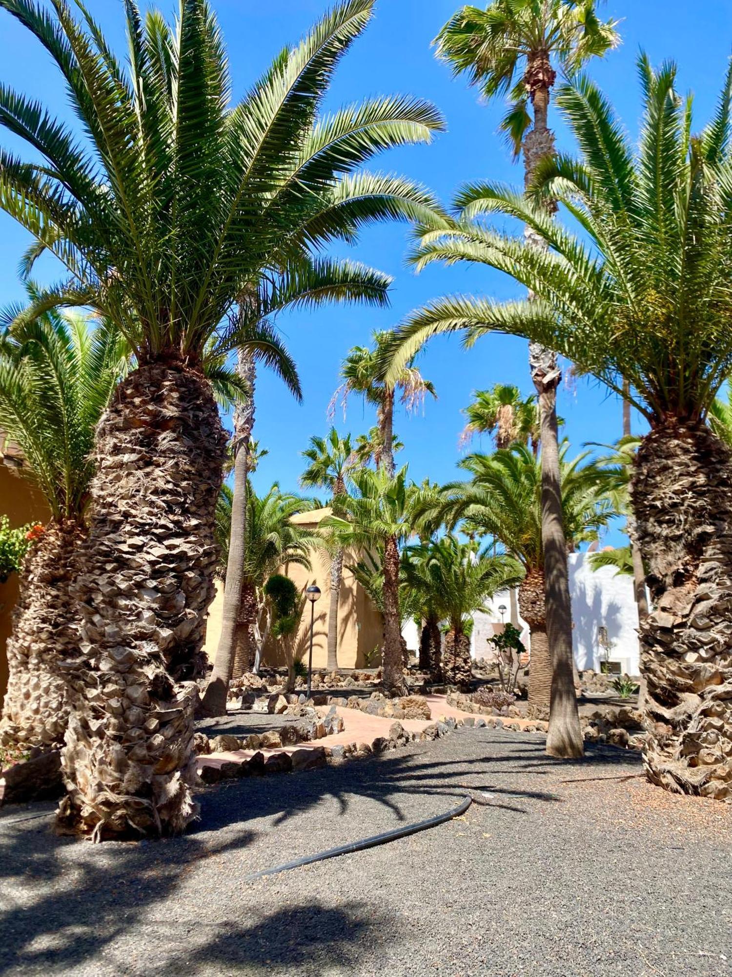 Blanca Del Sol Oasis Duna Apartamento *