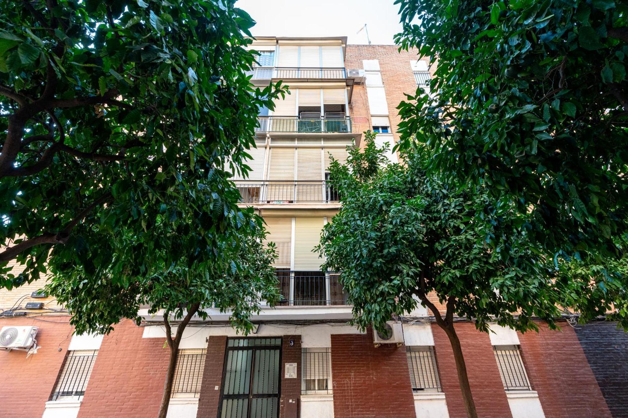 Piso Elegante Y Nuevo De 3 Y 2 Banos Apartamento Sevilla