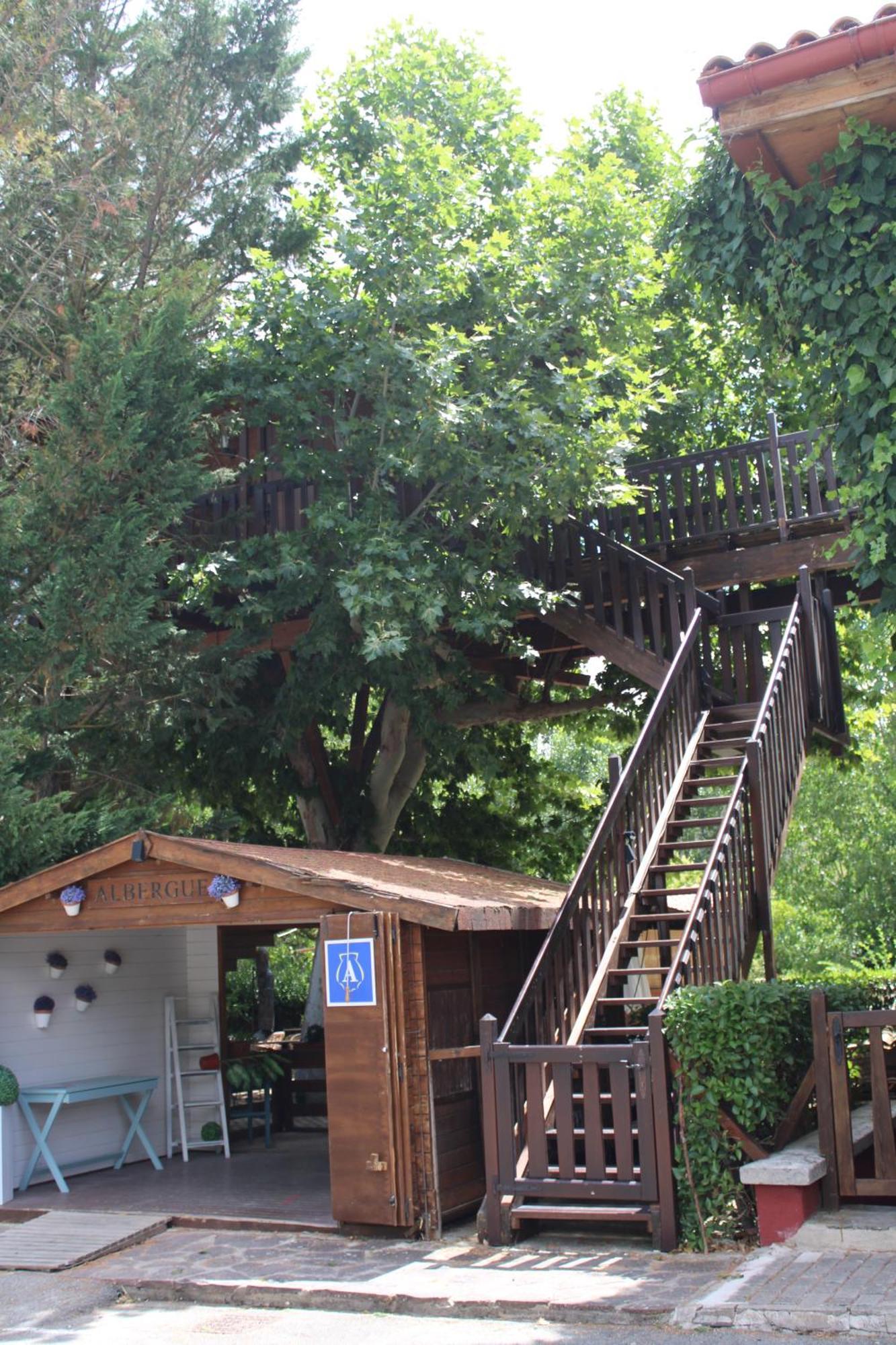Jakue Puente La Reina