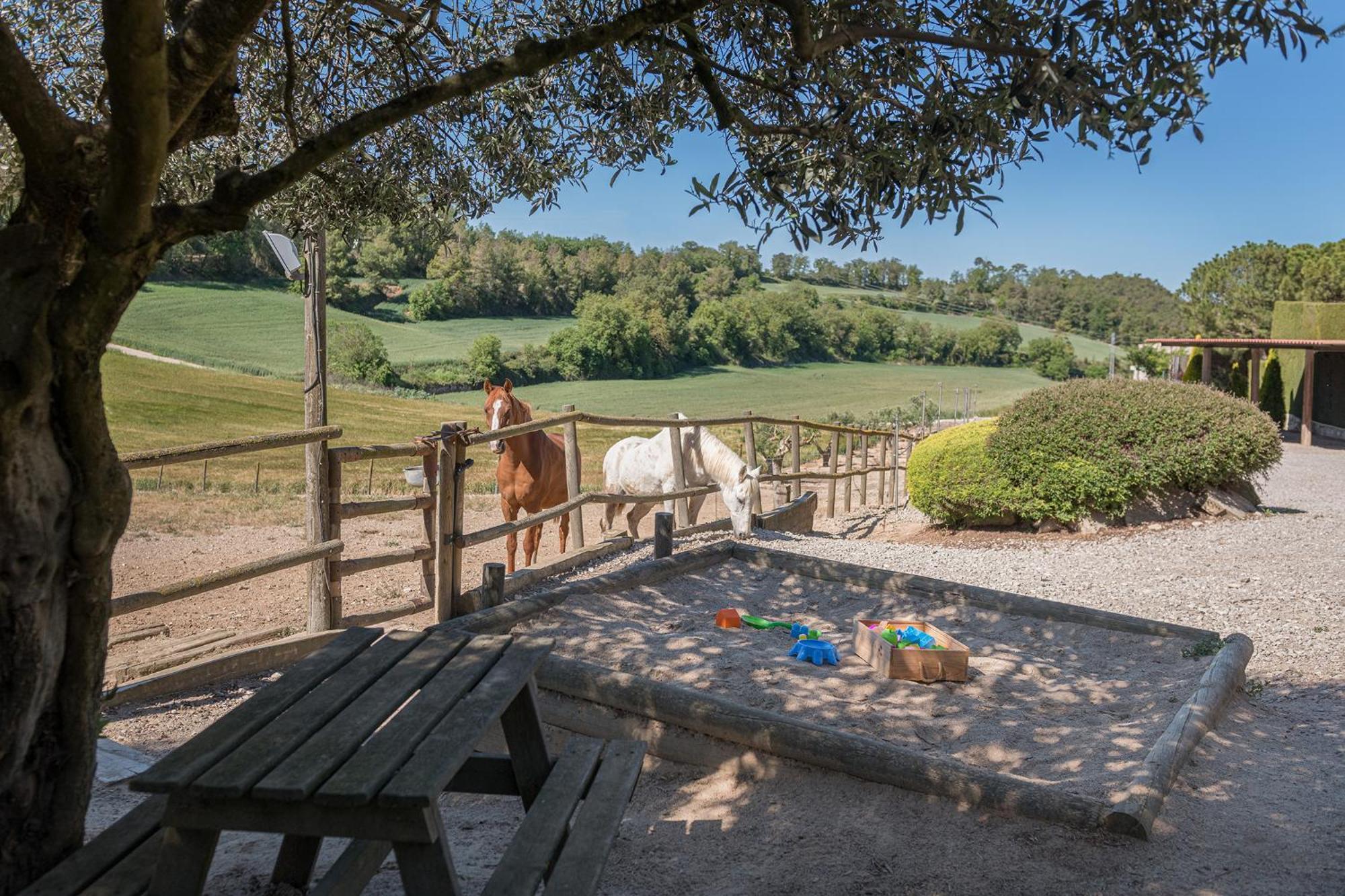 Casa rural Cal Carulla *
