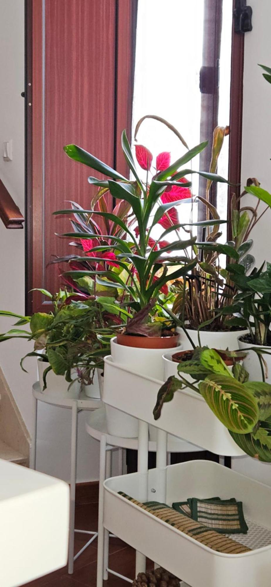 Apartamento Descalzos ángel Ronda