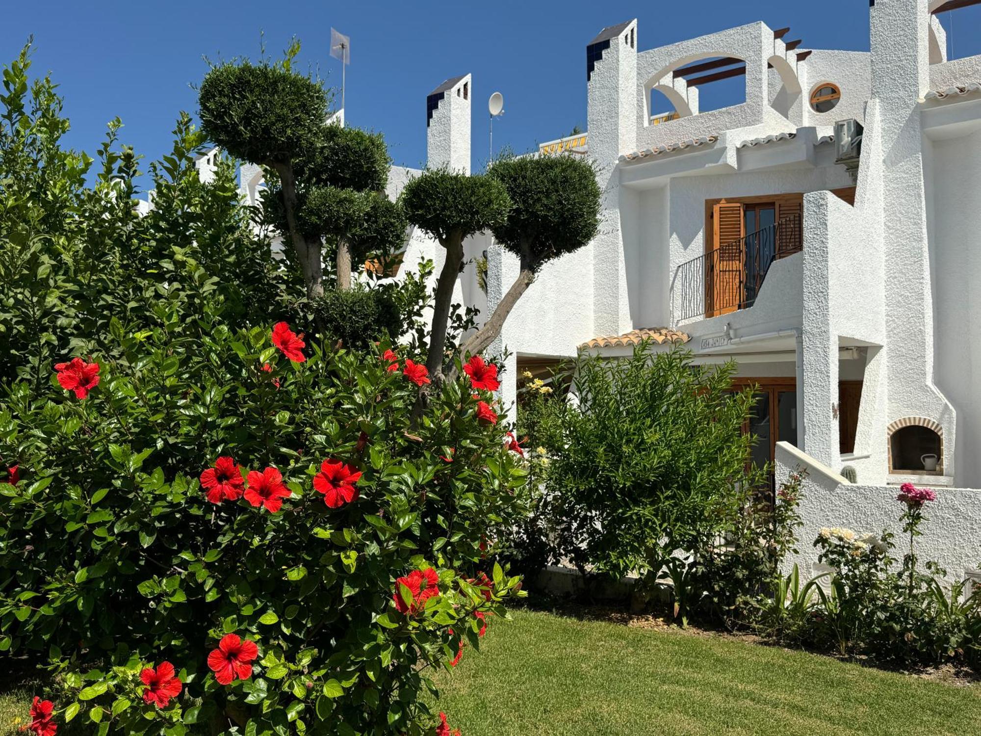 Contemporary House In Cabo Roig Сasa de vacaciones