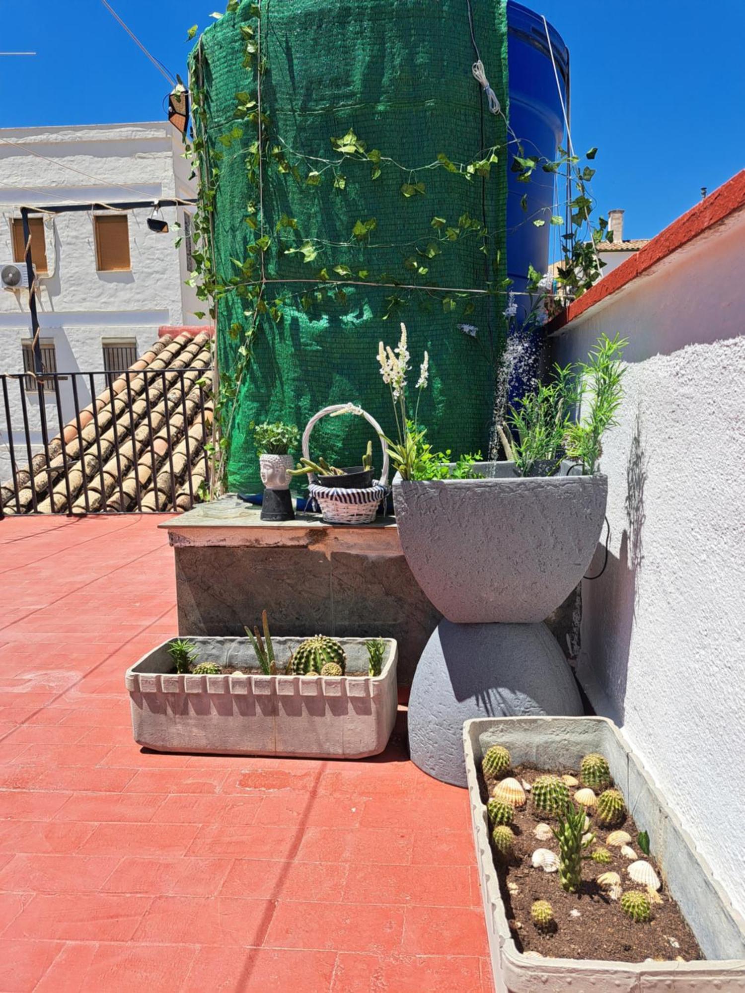 Casa Paloma Apartment Jaen