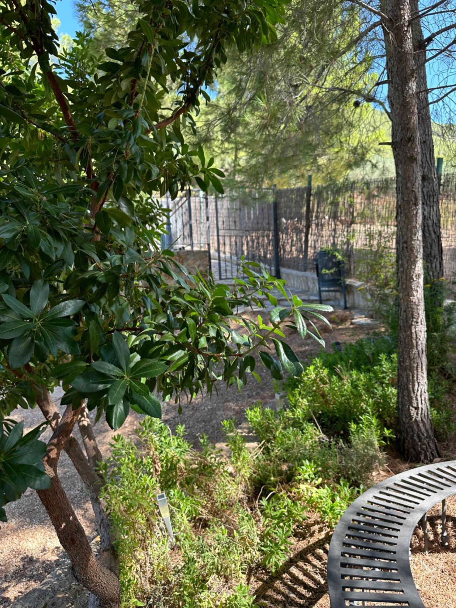 Holiday home Cerro Lobo Yeste